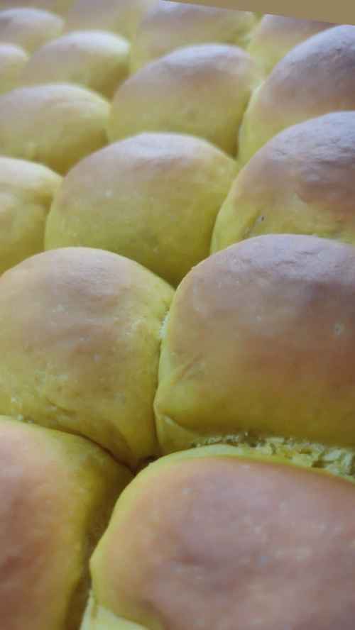 PAO DE CEBOLA