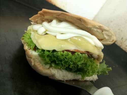 X- Frango especial