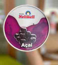 Pote de Açaí 240ml