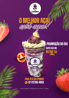 Promoção do Dia - Açaí 500ml 